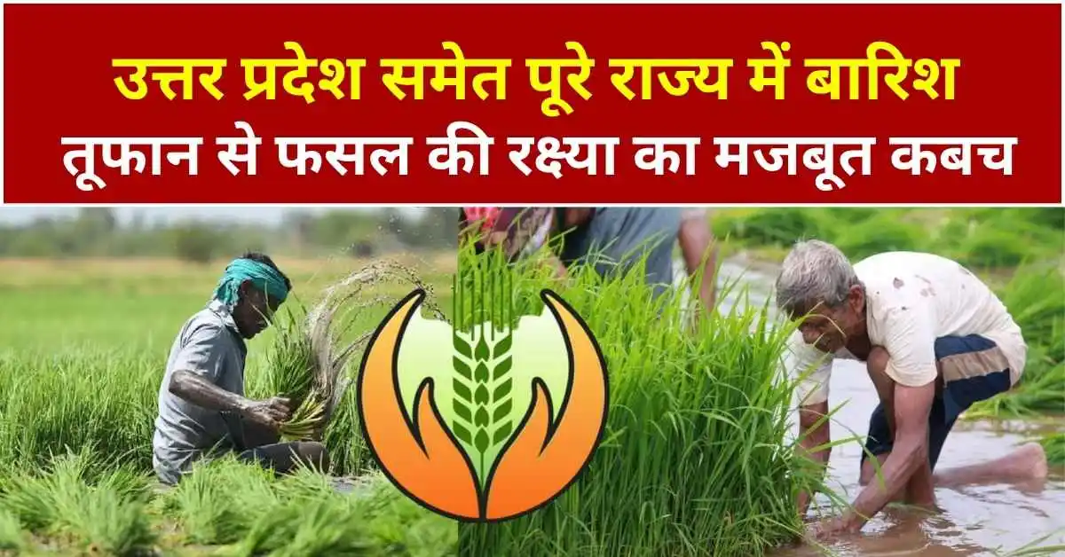 प्रधानमंत्री फसल बीमा योजना